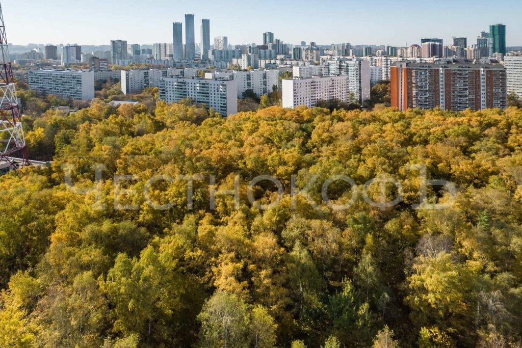 Октябрьское радиополе рядом с ЖК Берег столицы